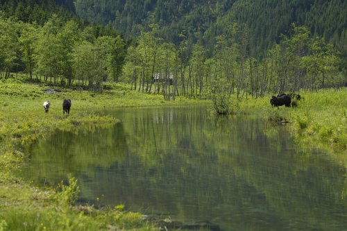 Mäanderstrecke in Hüttschlag