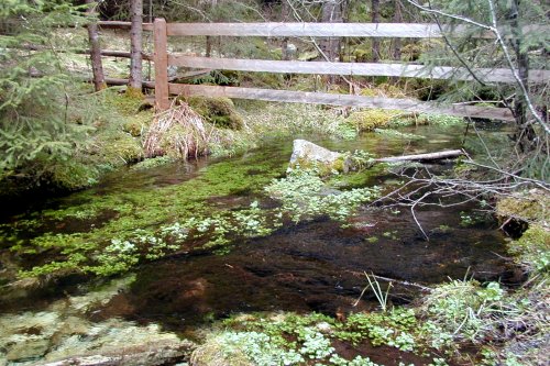Quellfluss bei der Kneipanlage im Talschluss