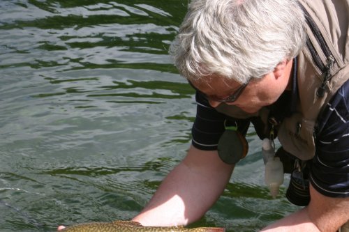 Franz Zraunig fängt einen Saibling