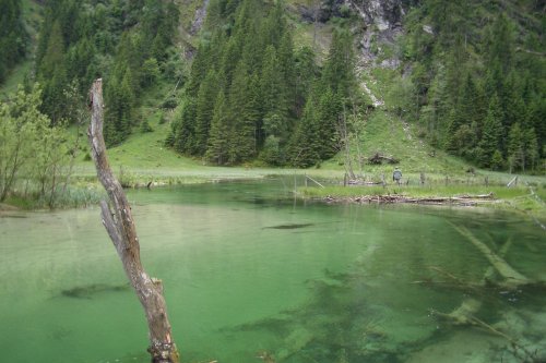 Fliegenfischen im Talschluss in Hüttschlag