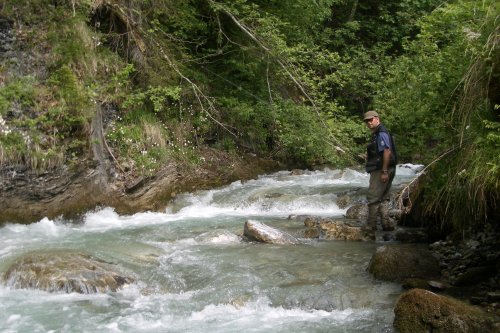 Vielfältige Bachstrecke für Fliegenfischer