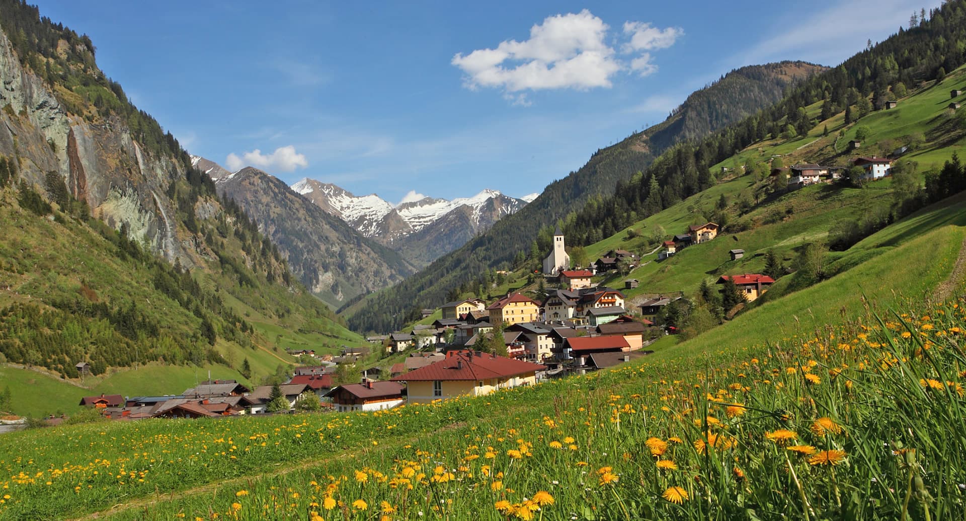 Sommerwiese in Hüttschlag im Großarltal mit dem Hotel Almrösl im Ortszentrum und das Aparthotel Almrösl im Vordergrund